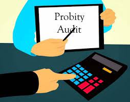 PROBITY AUDIT - 2024